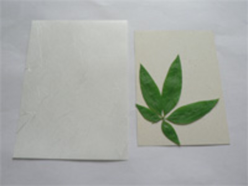 ハガキと和紙シートを用意する