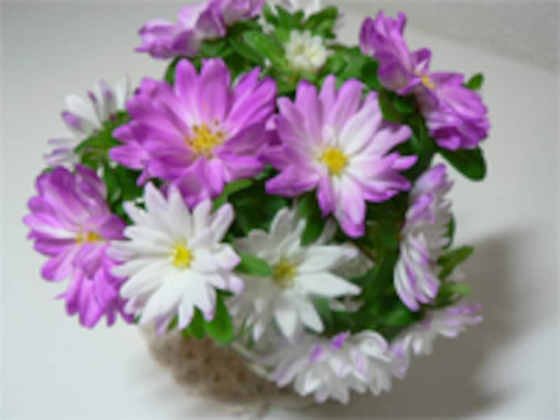 スプレーの花