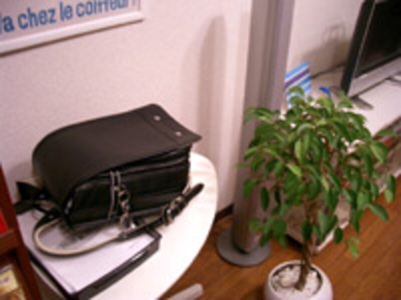 引越し、新生活、ランドセル