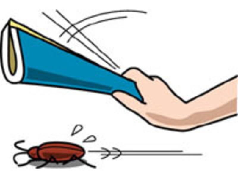 引越し、ゴキブリ