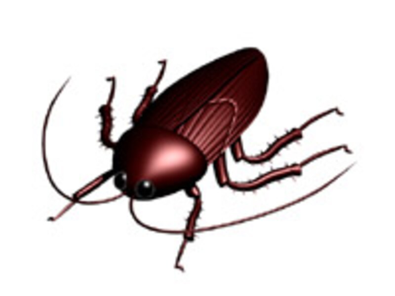 引越し、ゴキブリ退治