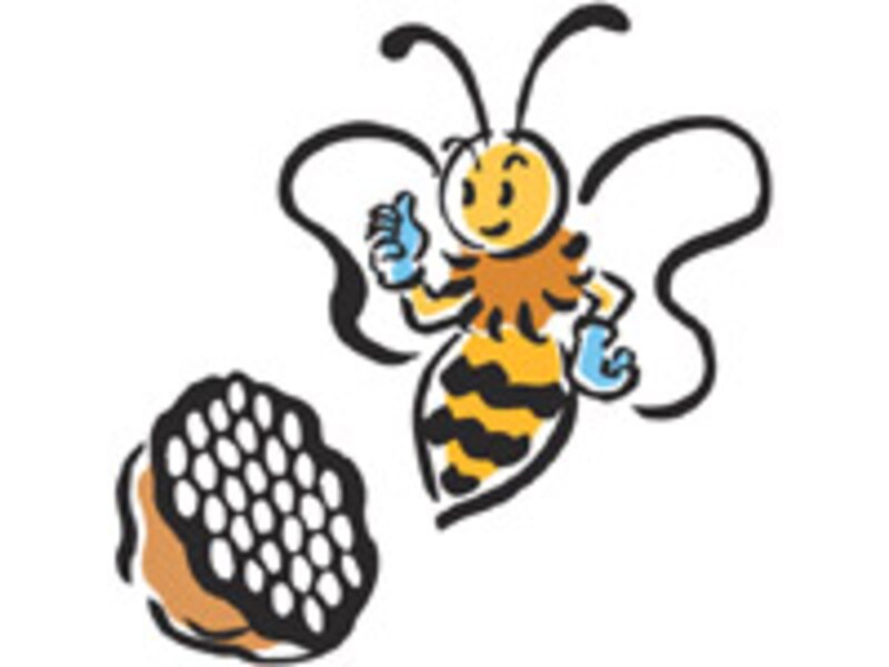 引越し、ハチの巣