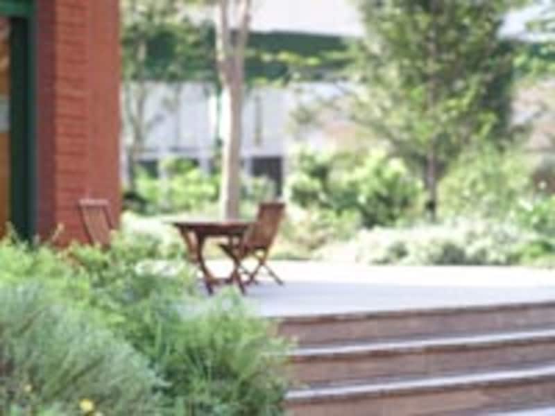 引越し、新生活、自然