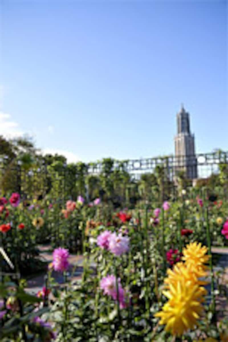 ハウステンボス