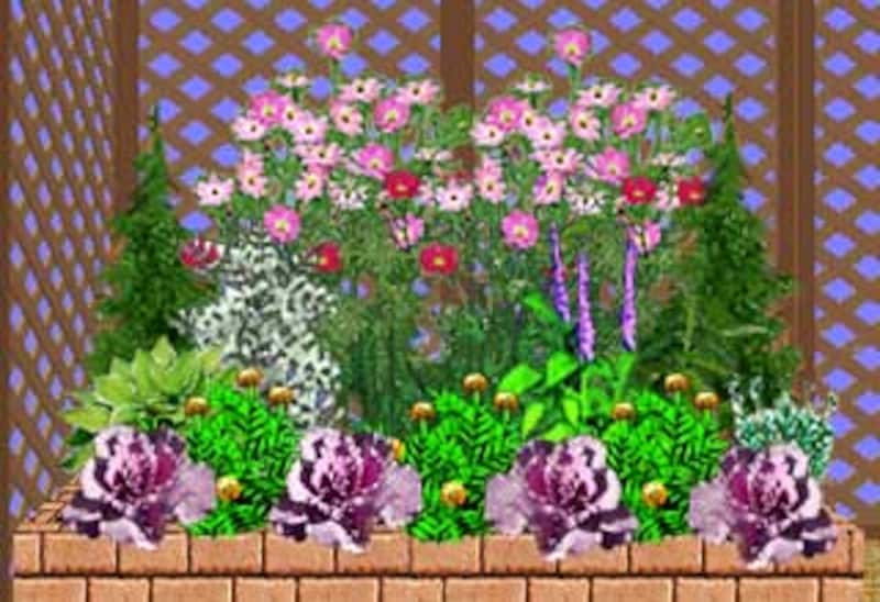 植栽プランの年間シミュレーション 庭や花壇は計画的に植栽を ガーデニング 園芸 All About