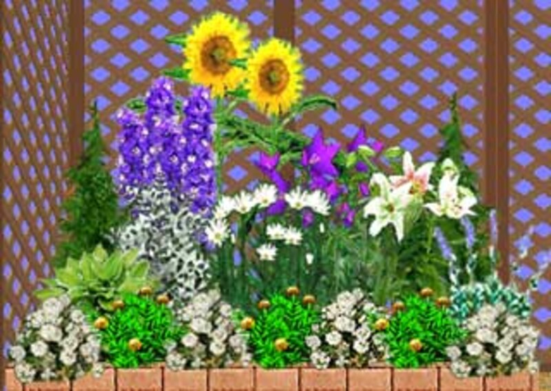 植栽プランの年間シミュレーション 庭や花壇は計画的に植栽を ガーデニング 園芸 All About