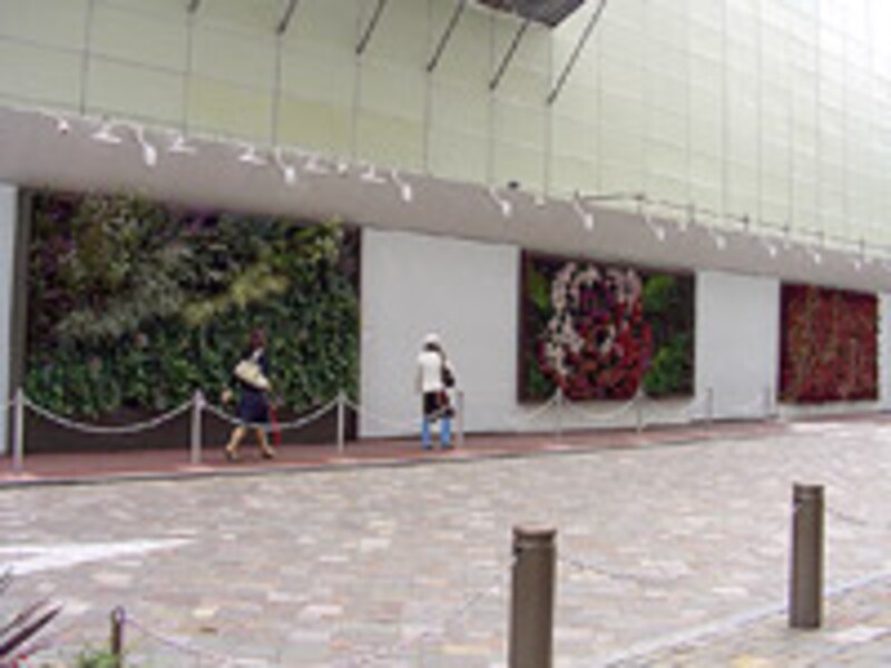 壁面緑化