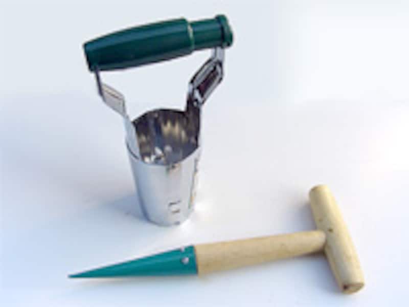 バルブプランター