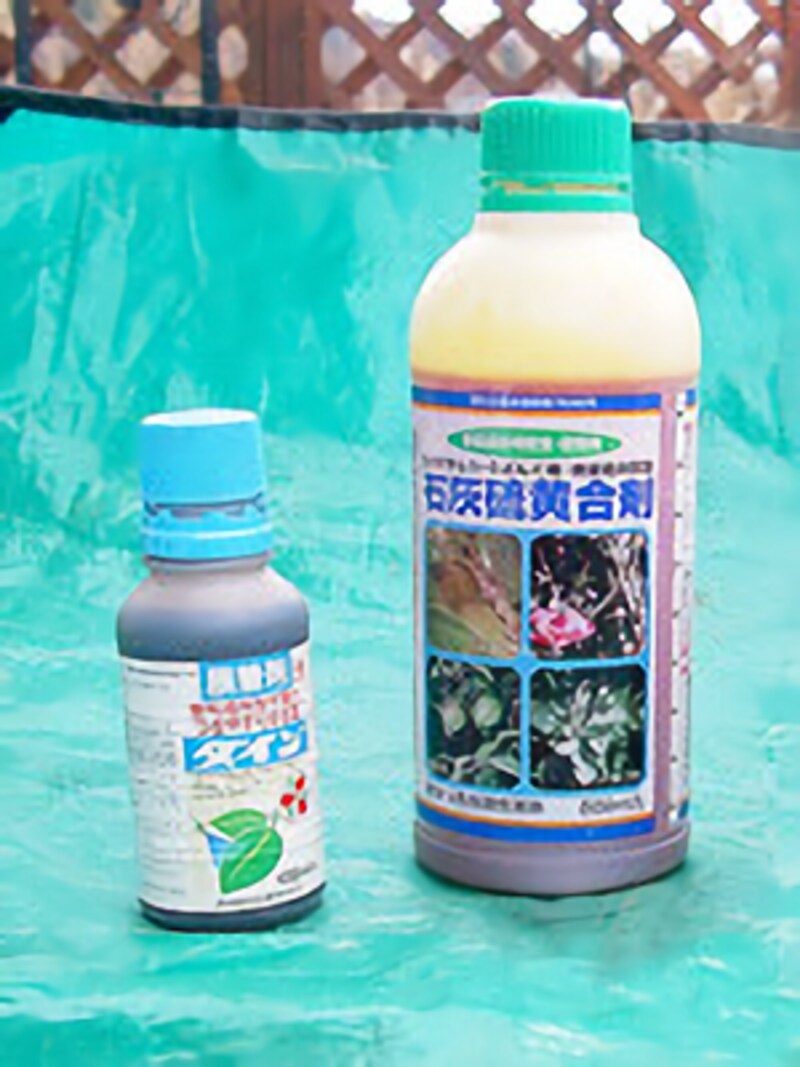 石灰硫黄合剤は、モモなど多くの果樹に薬効が認められるが……