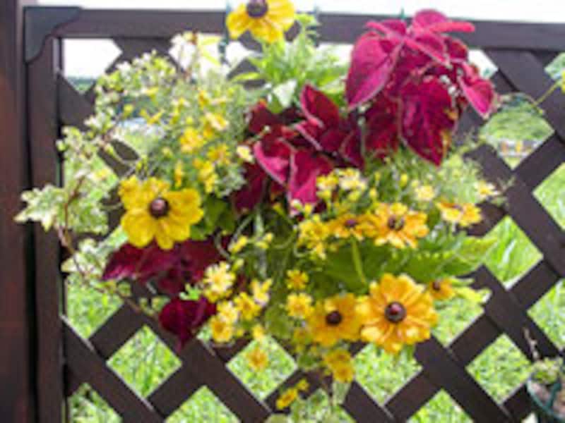 ペットボトルハンギング