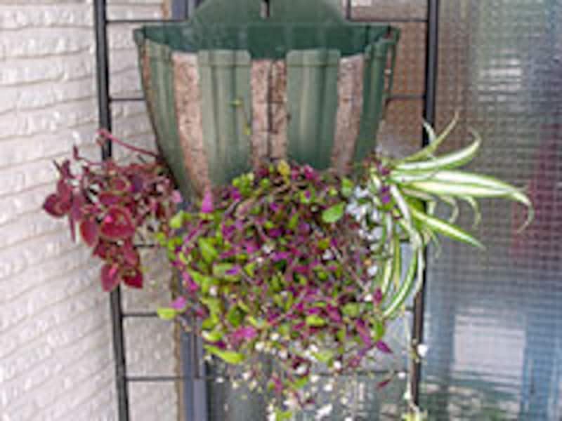 最下部の植え込み