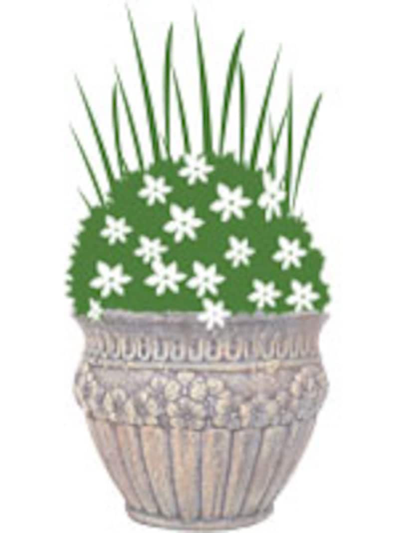 線+面の組み合わせ