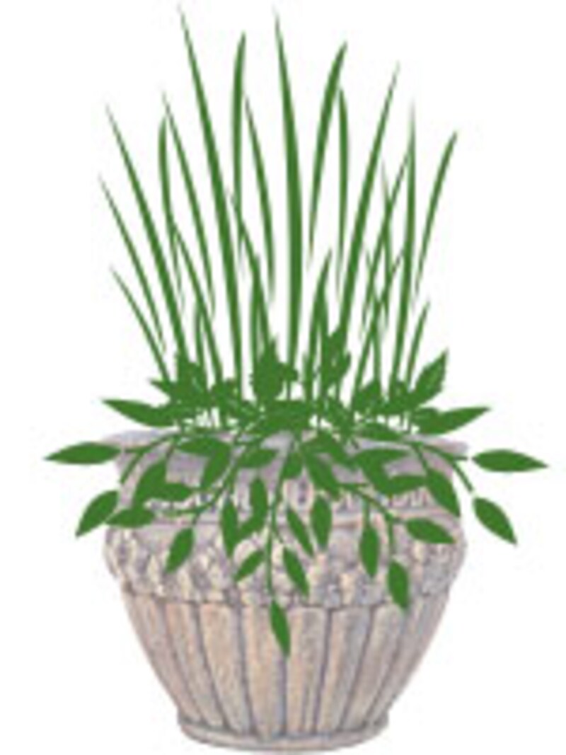 線+グランドカバー