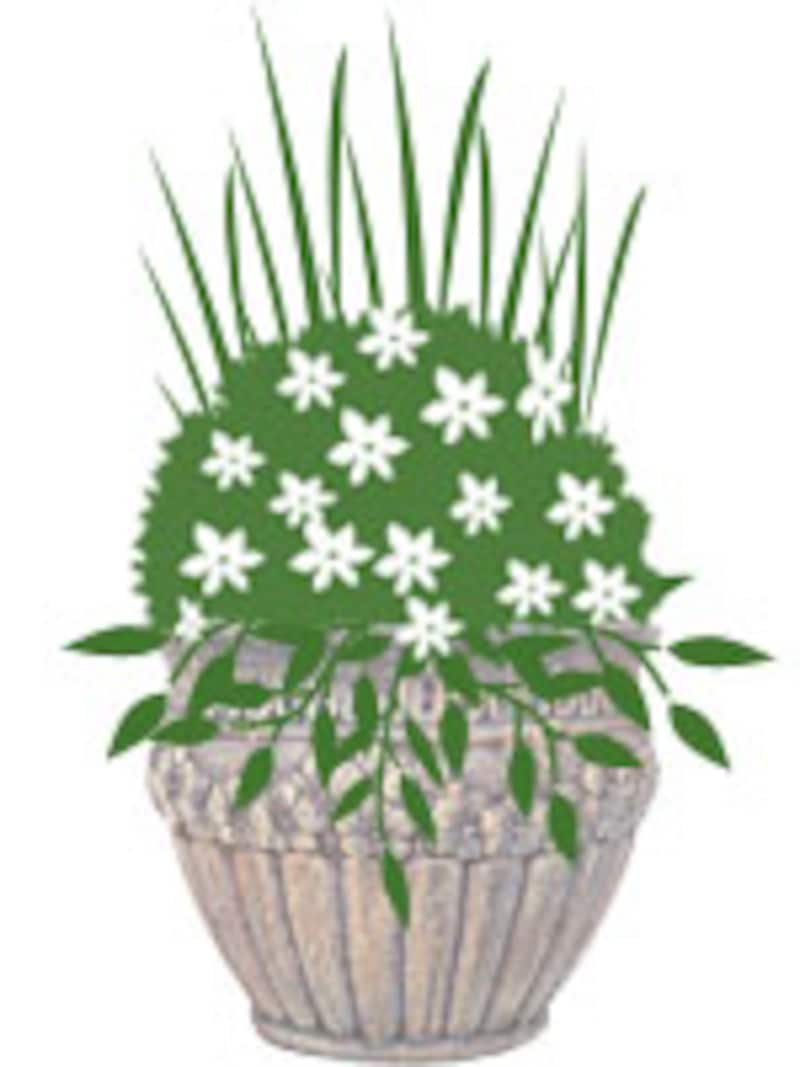 線+面+グランドカバー