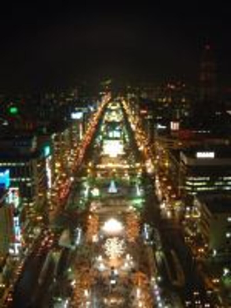 《札幌》テレビ塔からさっぽろ雪祭り・大通会場を望む