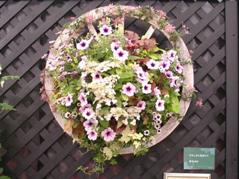 ハンギングバスケット部門大賞作品