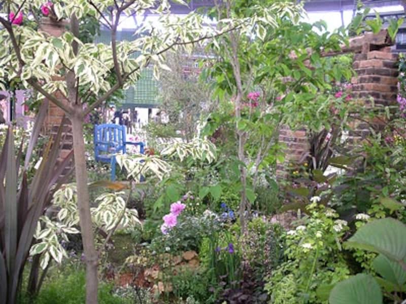 陽を楽しみ、涼を感じる