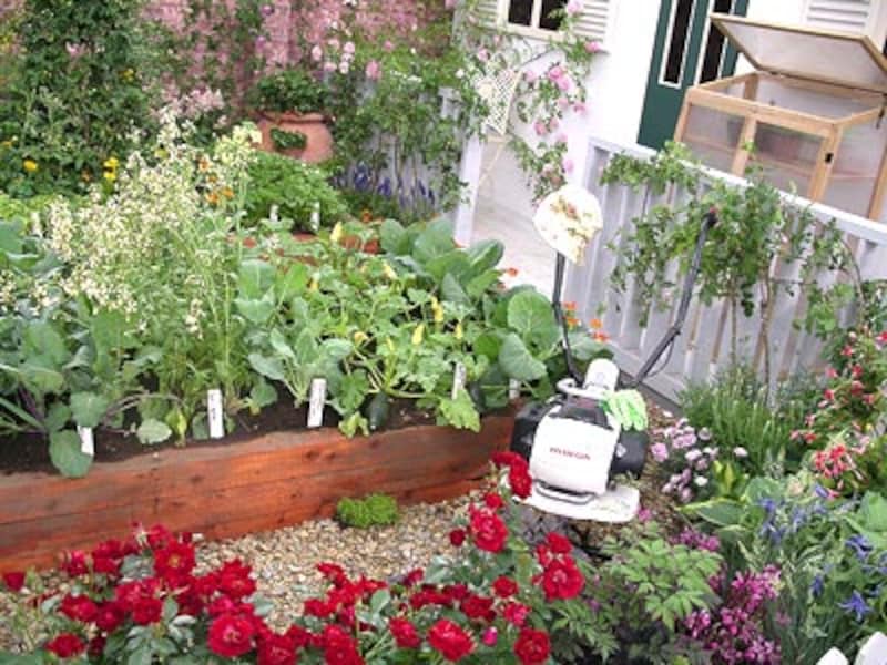 Rose Garden with Vegetables