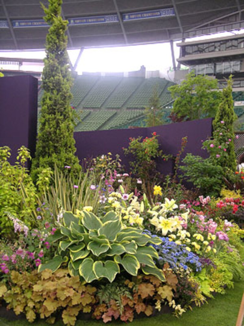 輝く光のカラーガーデン