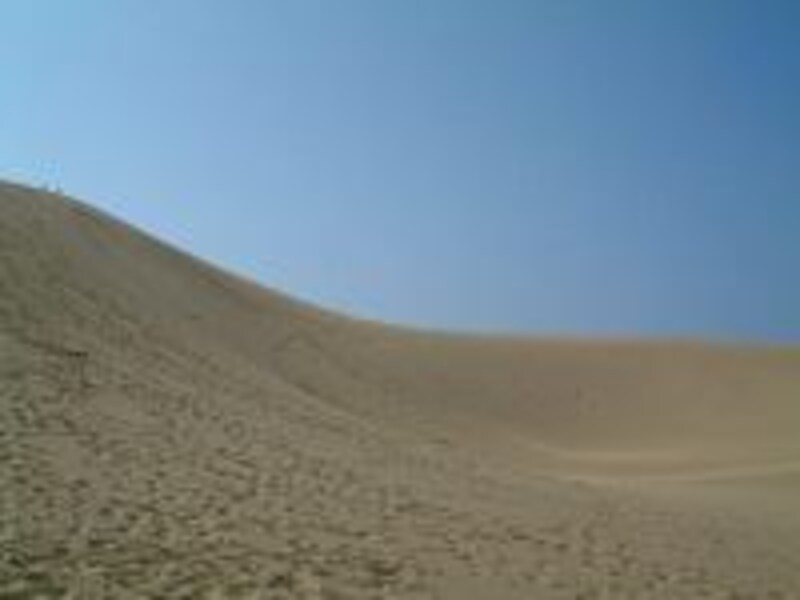 《鳥取》鳥取砂丘