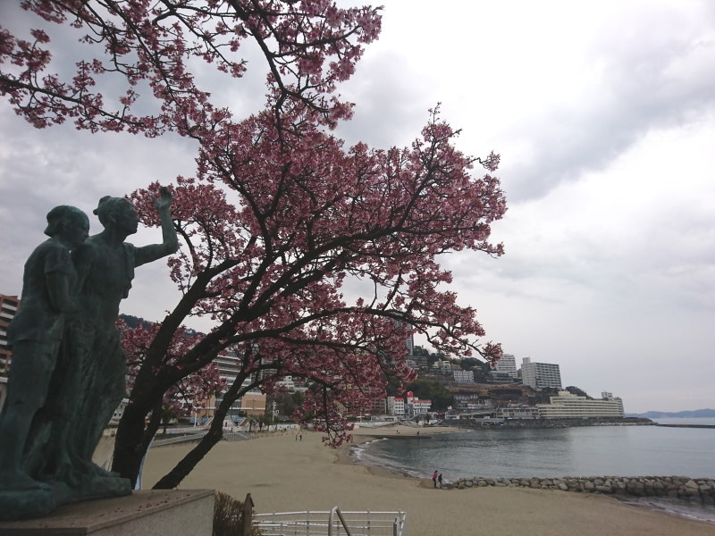 静岡/熱海・あたみ桜とサンビーチ