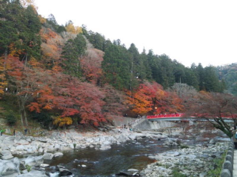 愛知／香嵐渓の紅葉