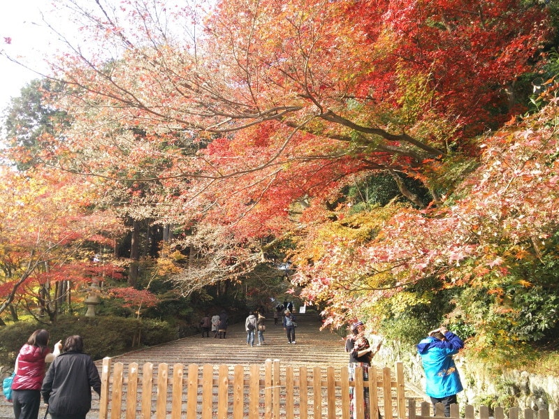 京都・光明寺