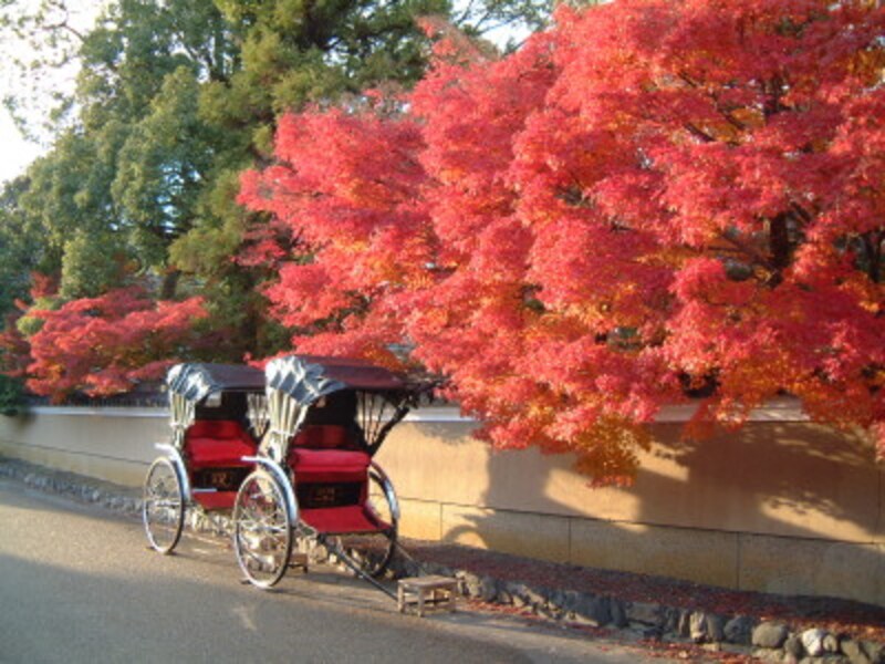 京都／紅葉と人力車