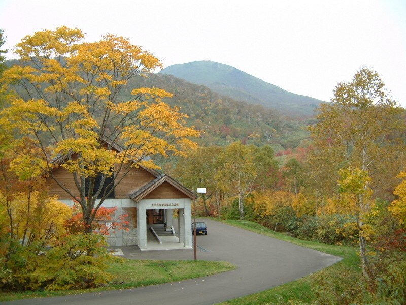 ニセコ・大湯沼付近の紅葉・黄葉