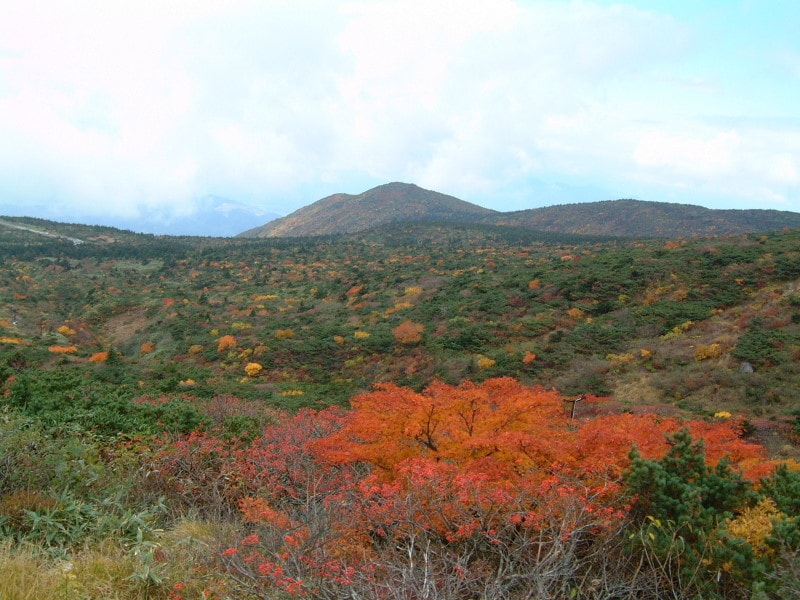 蔵王・刈田リフトから眺める紅葉・黄葉