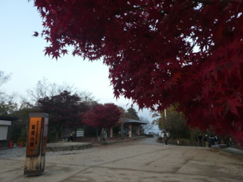 高尾山頂の紅葉