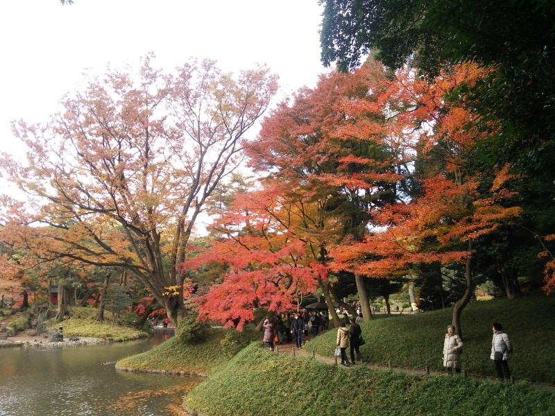 小石川後楽園の紅葉