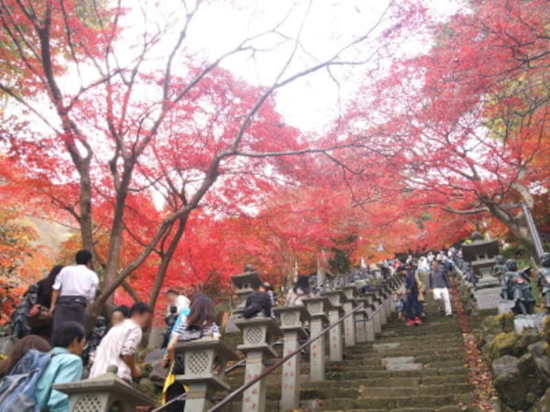 大山不動尊の紅葉