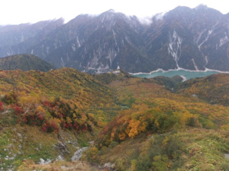 大観峰から眺める黒部ダムと紅葉