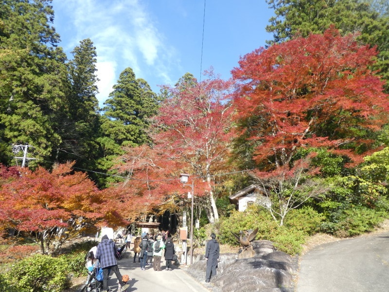 鳳来寺山の紅葉