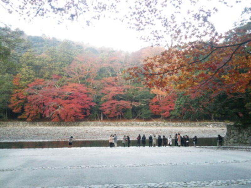 伊勢神宮・内宮 五十鈴川と紅葉