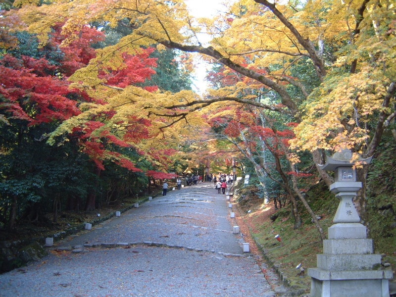 日吉大社の紅葉