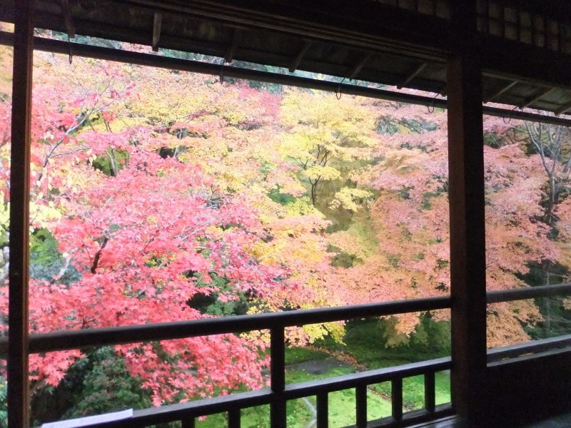 瑠璃光院の紅葉