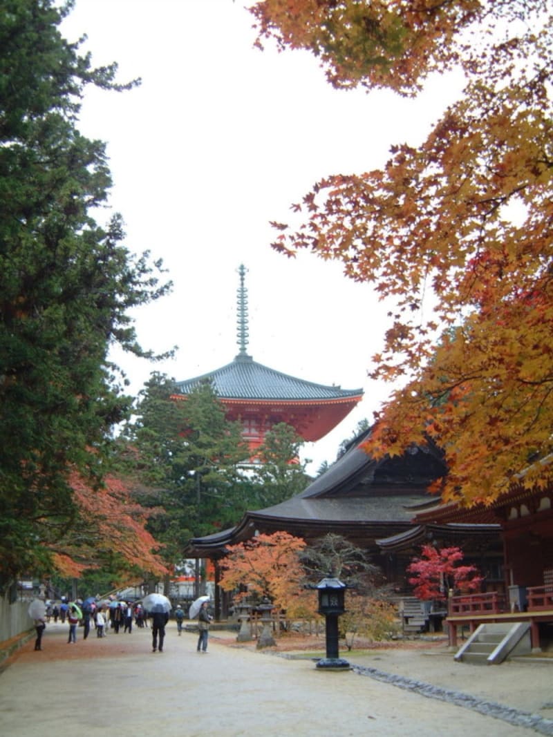 高野山・根本大塔と紅葉