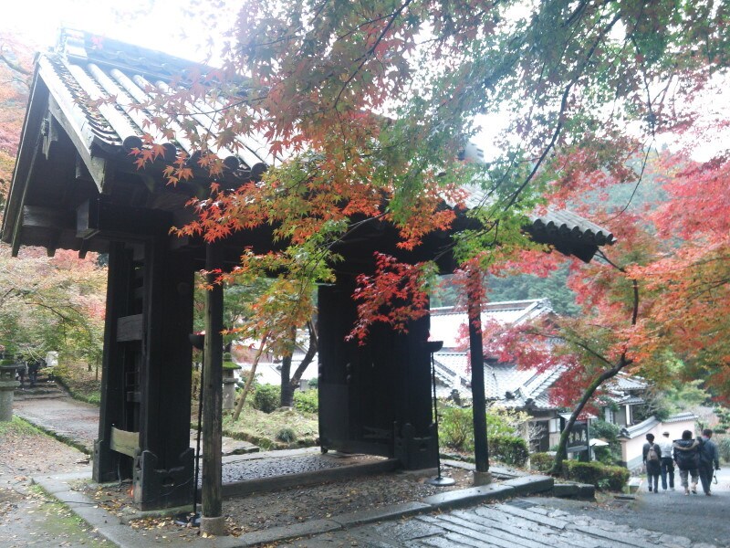 秋月城址の紅葉