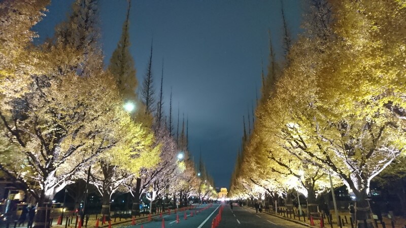 神宮外苑のいちょう並木ライトアップ