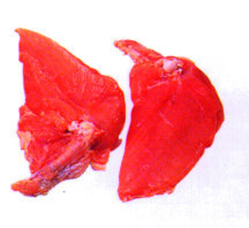 いろいろな料理に「むね肉」