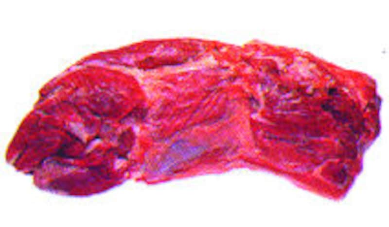 「そともも」は薄切りや煮込み用に