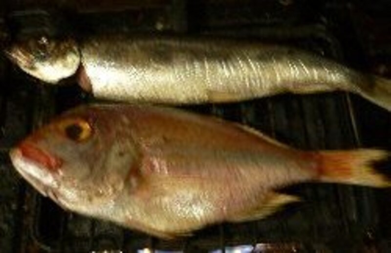 焼き網より大きい魚