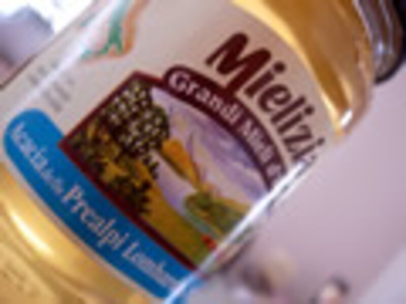 写真のタイトル