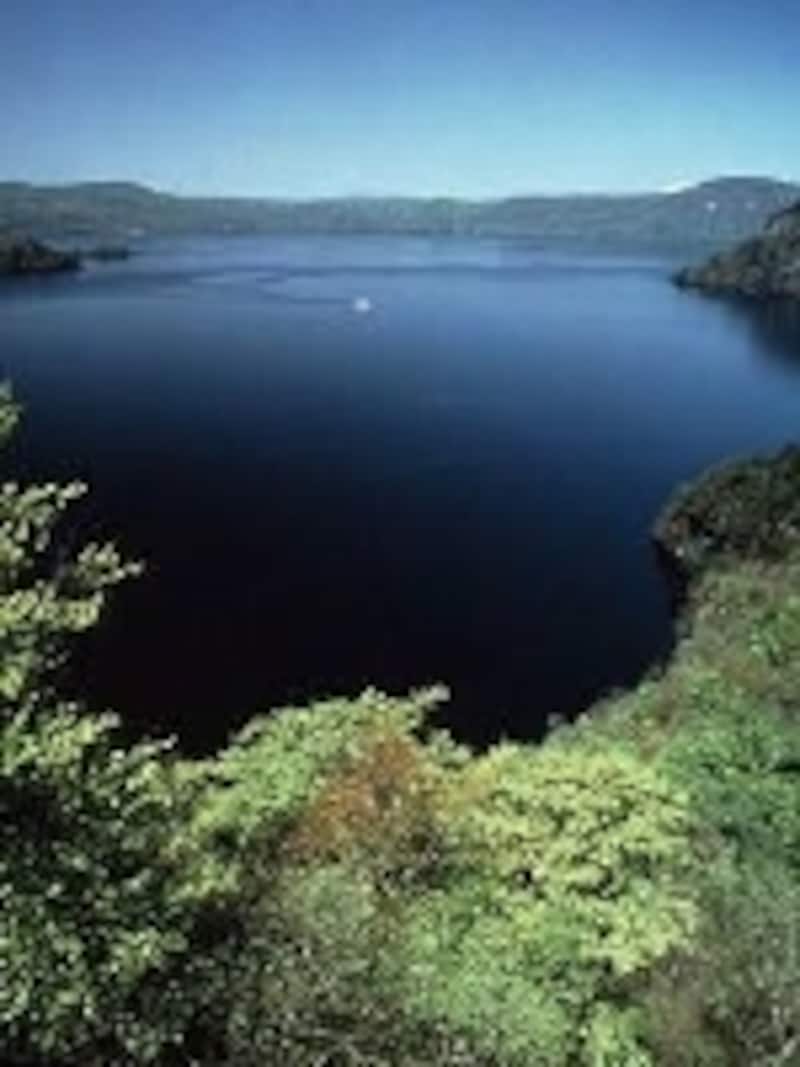 「これぞ十和田湖」という風景を展望台から楽しみましょう