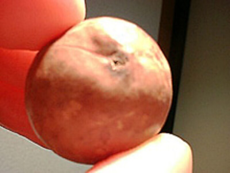 マカダミアナッツ