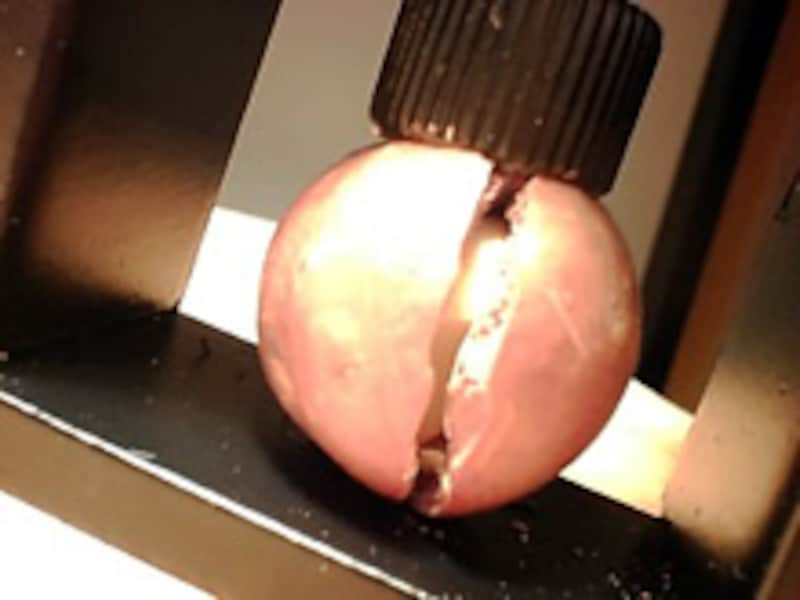 マカダミアナッツ