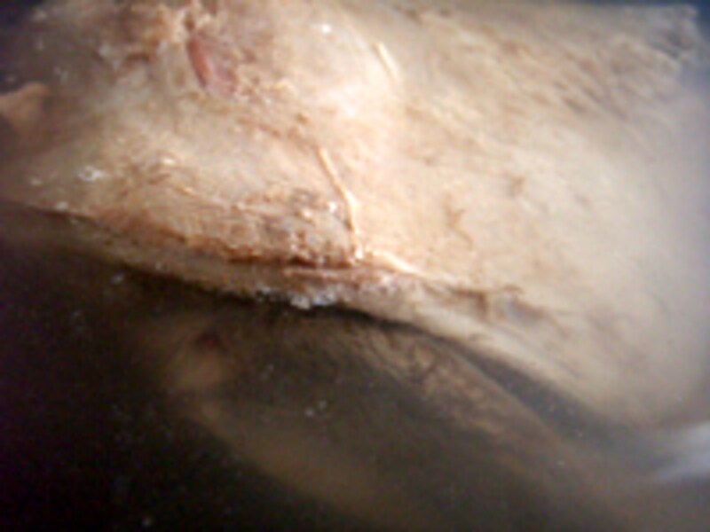 モンゴルの伝統料理チャンサンマハ