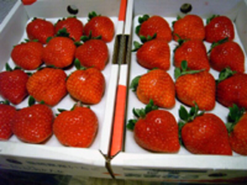 巨粒な苺、あまおう